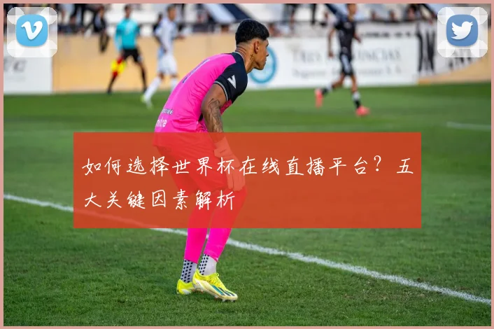 如何选择世界杯在线直播平台？五大关键因素解析